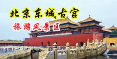 女大学生口爆深喉视频合集中国北京-东城古宫旅游风景区